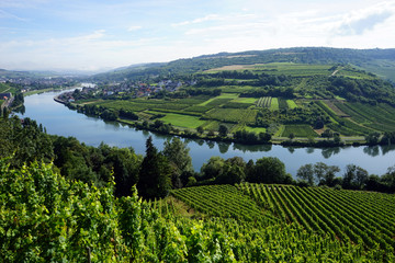 View of Mosel valley