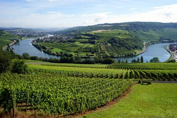 Foto op Canvas View of Mosel valley © Valery Shanin