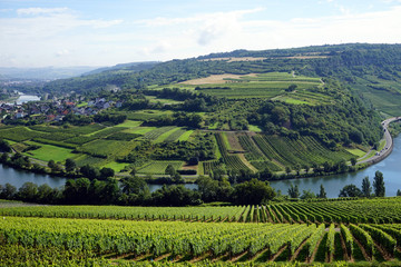 Fototapeta na wymiar View of Mosel valley