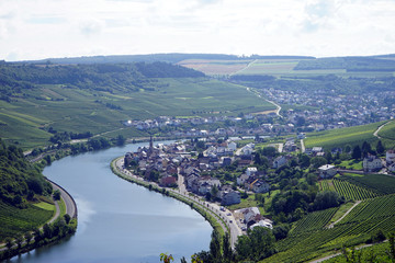 Machtum and Mosell valley