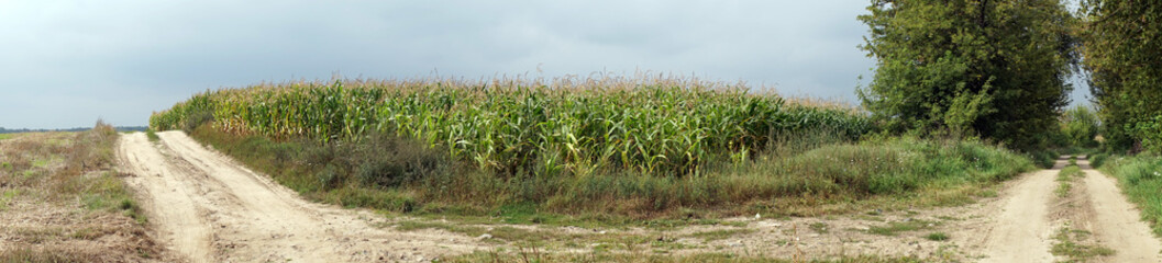 Two tracks and field