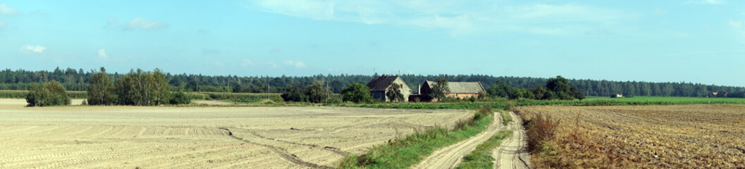 Fototapeta na wymiar Panorama of field