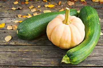 Fresh pumpkin and zucchini on a wooden desk