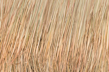 dried grass or vetiver khus for background.