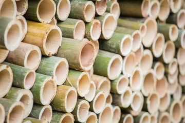 bamboo wood for background.