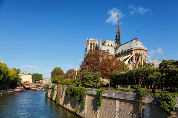 Fototapeta na wymiar Notre Dame from Square du Jean XXIII, Paris. Wide shot with rive