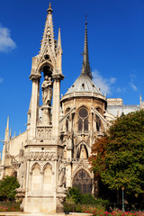 Fototapeta na wymiar Notre Dame from Square du Jean XXIII, Paris