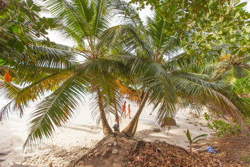 plage des Seychelles, anse Patates, île de la Digue