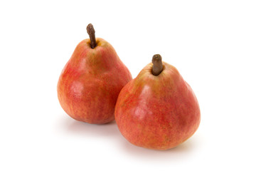 レッドバートレット