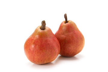 レッドバートレット