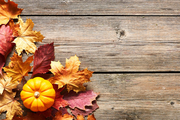 Autumn leaves and pumpkin