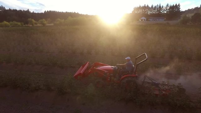 Farmer mowing dusty crops on tractor