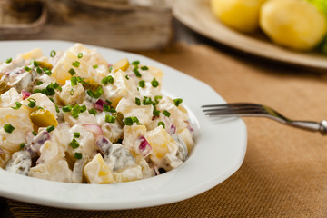 Traditional German potato salad with cucumber, onion and mayonna