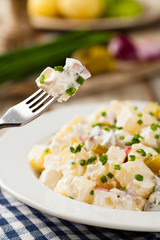 Traditional German potato salad with cucumber, onion and mayonna