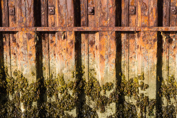 Rust iron girders forming part of harbour wall with seaweed and