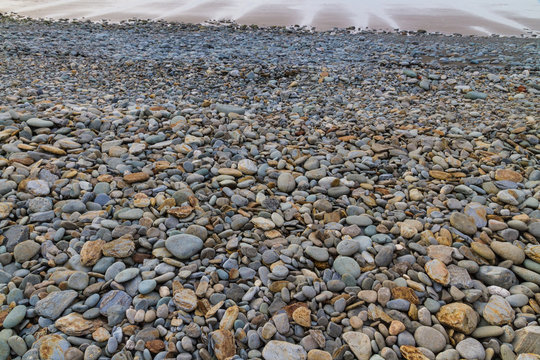 Stony beach at low tide