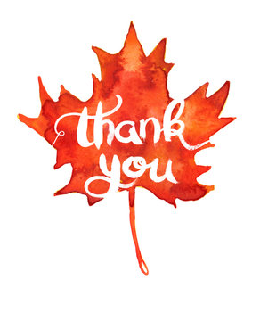 Big bright orange maple leaf with white hand written words "thank you" painted in watercolor on clean white background