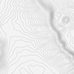 Topographic map background concept with space for your copy. Topography lines art contour , mountain hiking trail , Shape vector design. Computer generated .