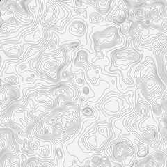 Topographic map background concept with space for your copy. Topography lines art contour , mountain hiking trail , Shape vector design. Computer generated .