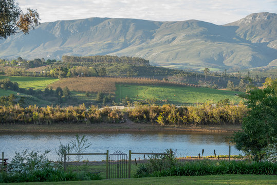 Farm Landscape