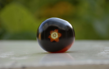 Tomate