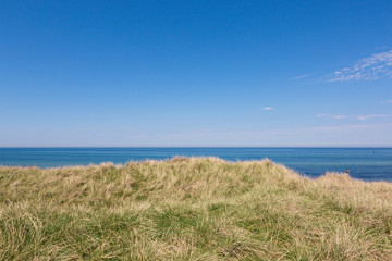 Fototapeta na wymiar Dünen mit Gras und Meer im Sommer