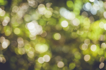 Beautiful green bokeh background