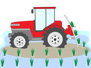 田植え作業の風景