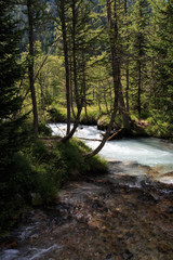 Val Ferret - Valle Aosta