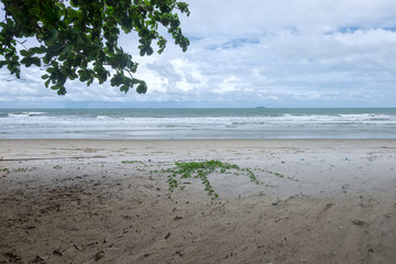 Turquoise sea waves at Rayong Thailand. The beach and Ivy