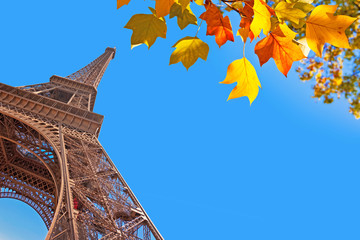 Fototapeta na wymiar Eiffel tower and autumnal leaves, Paris, France