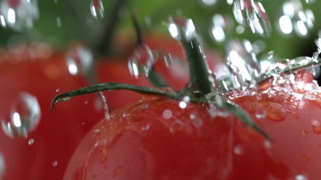 Extreme close-up of water splashing on tomato in slow motion