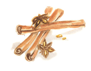 Watercolor anise and cinnamon. Isolated spice on white background. Seasoning for meal or dessert.