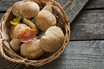 Fresh white mushrooms from  forest in basket on a rustic wooden board, overhead view.