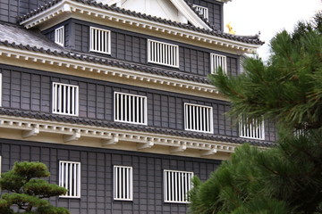 Obraz premium travel in Japan