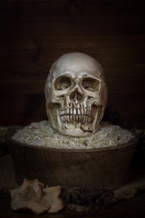 skull and rice in wooden bowl with dried rice grain decorate wit