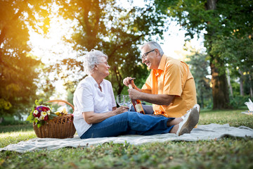 Happy senior couple celebrates anniversary in park