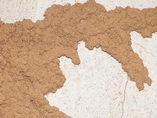 Fototapeta premium Termite nest on the old wall.