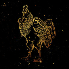 Rooster on nightsky background