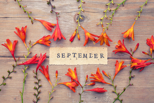 Word SEPTEMBER printed on vintage paper with wreath frame with crocosmia flowers 