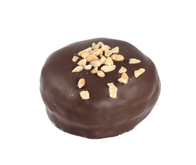 Chocolate-coated marshmallow treats