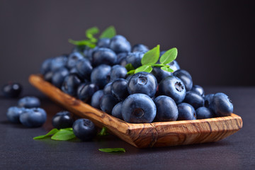 blueberries  on black background