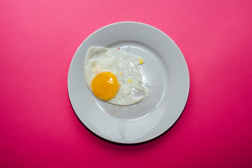 single fried egg on colored trendy background, minimal design