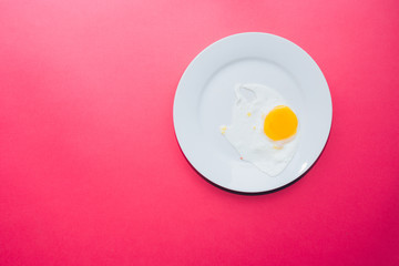 single fried egg on colored trendy background, minimal design