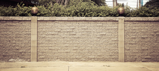 Vintage Brick wall and green leaf