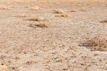 Dried salt lake shore