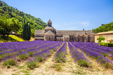 Abbey of Senanque and blooming rows lavender flowers. Gordes, Luberon, Vaucluse, Provence, France, Europe.