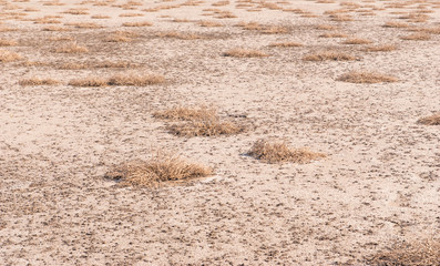 Dried salt lake shore