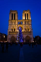 Cathédrale Notre-Dame de Paris, 2015 © zuzannab