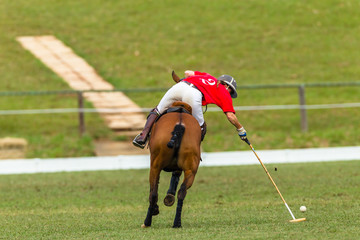 Polo Player Horse equestrian closeup abstract game action